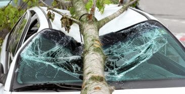 Image of a ¿Qué es la cobertura integral?