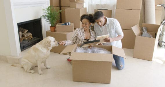 Mujer acariciando a su perro desocupando cajas con su esposo que revisa un seguro de alquiler en línea