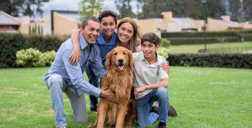 Mejores planes de seguros para perros en Estados Unidos: opciones, cobertura y costos