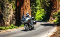 seguro de motocicleta barato en California precios