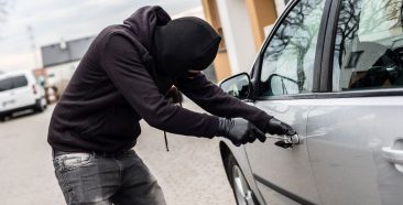 ¿Por qué es importante el seguro contra robo?