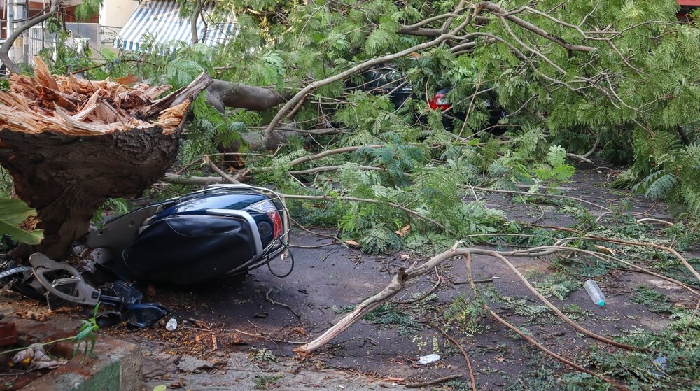 Motocicleta dañada por un árbol caído tras una tormenta, mostrando cómo el seguro de moto cubre desastres naturales como vientos fuertes y caída de árboles.