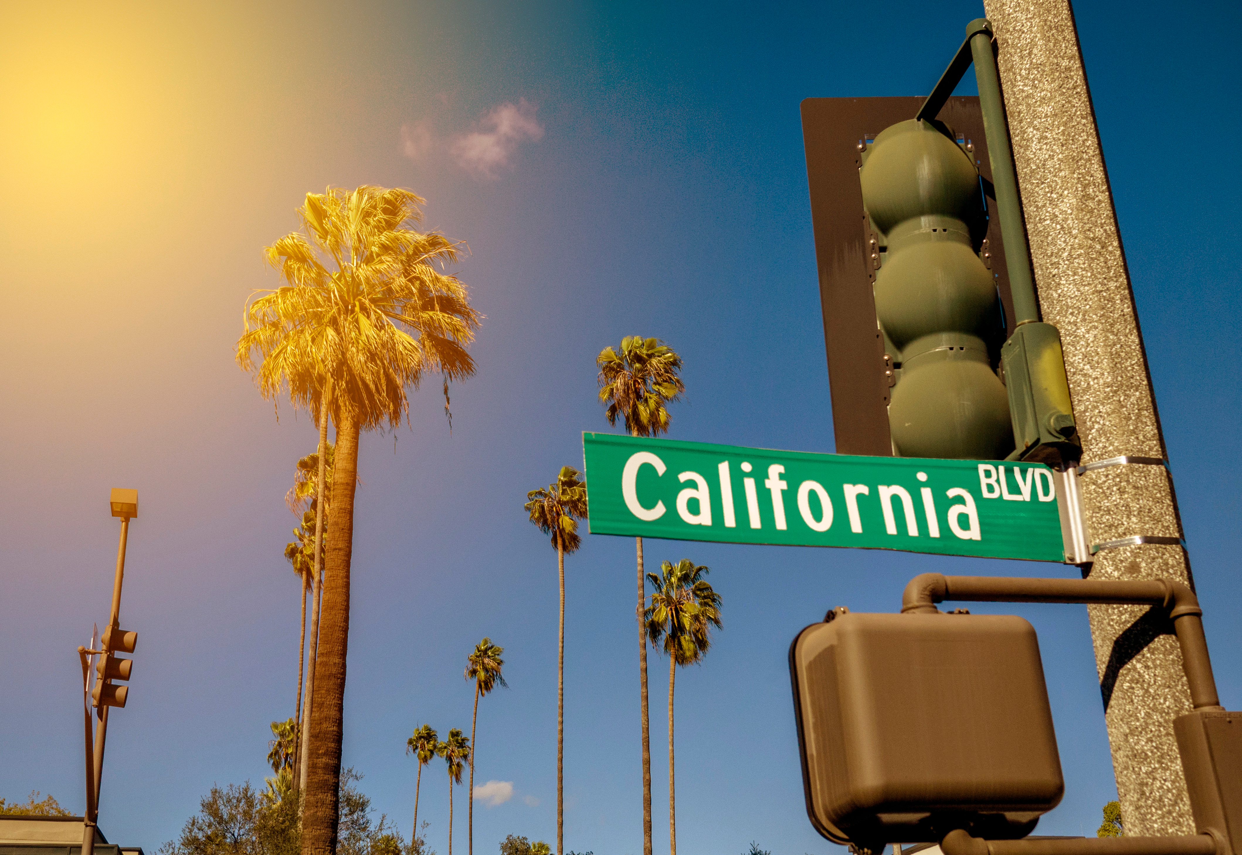 calle_en_california_con_palmeras_sol_cielo_azul_semaforo