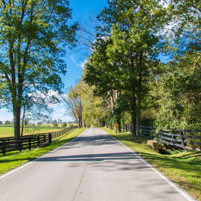 Carretera rural en Kentucky con cercas y árboles