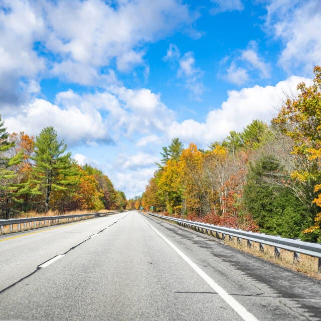 Carretera vacía en Massachusetts con árboles de lado y lado