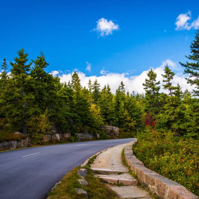 Carretera rural vacía en el Parque Nacional Acadia en Maine con muchos árboles