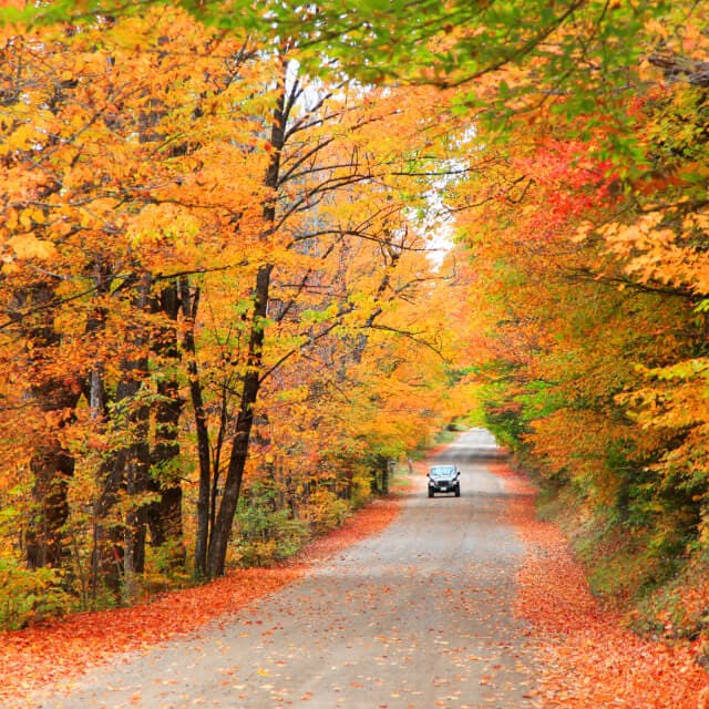 Carretera en el Bosque Nacional White Mountain, en New Hampshire, con una camioneta de fondo en otoño