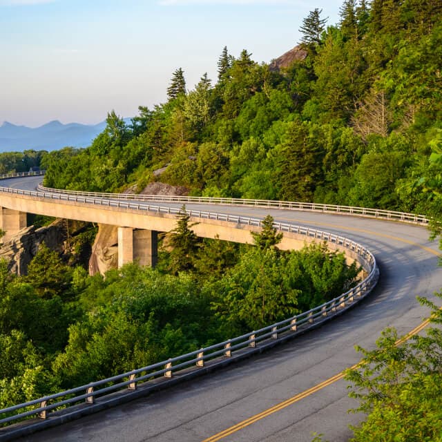 Carretera vacía en S en Carolina del Sur con un bosque alrededor