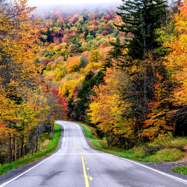 Carretera vacía cerca al Bosque Nacional Monongahela en West Virginia en otoño