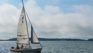 Velero en Barnstable Town, Massachusetts