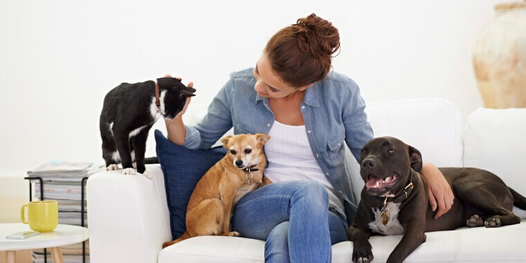 Mujer joven relajándose en sillon con sus perros y su gato