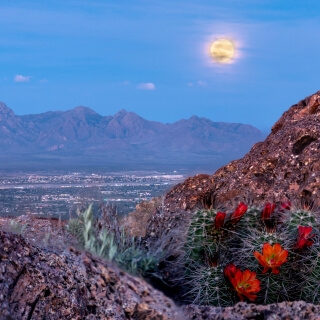 Una superluna en Las Cruces, New Mexico