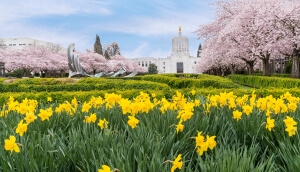 Parque del centro de la ciudad con hermosas flores en Salem, Oregon