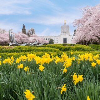 Parque del centro de la ciudad con hermosas flores en Salem, Oregon