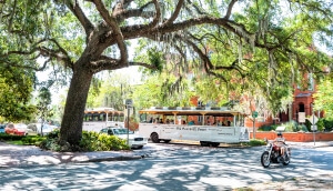 Calle cerca al parque Forsyth en Savannah, Georgia en verano