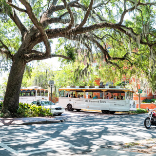 Calle cerca al parque Forsyth en Savannah, Georgia en verano