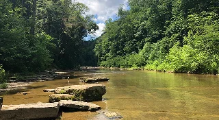 Árboles verdes y río en un parque estatal de Cookeville, Tennessee – Cookeville, seguro de auto barato en Tennessee